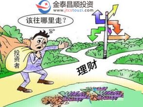 深圳市金泰昌順投資管理 聚焦四大投資主線，驅動價值成長新篇章